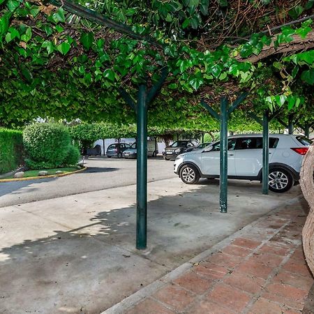 Mini Motel At Los Naranjosgc ماربيا المظهر الخارجي الصورة